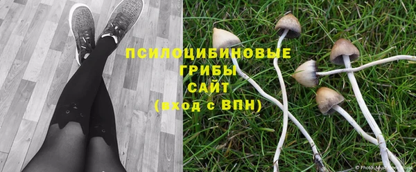 спиды Нязепетровск