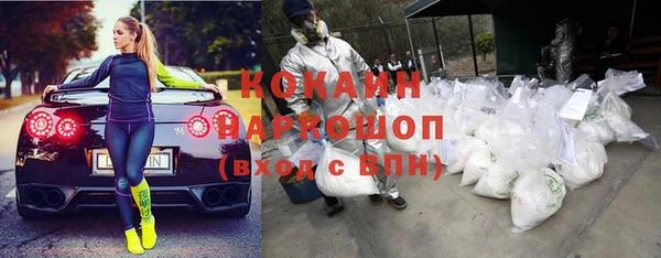 мдпв Няндома
