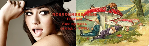 мдпв Няндома