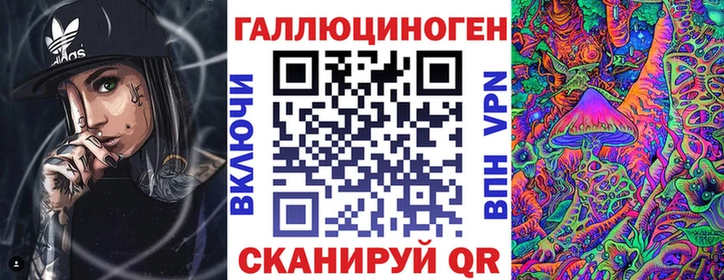 закладки  Светлоград  Псилоцибиновые грибы Psilocybe 