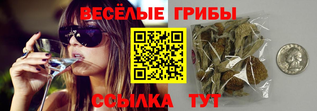 Галлюциногенные грибы GOLDEN TEACHER  Светлоград  Псилоцибиновые грибы ЛСД 